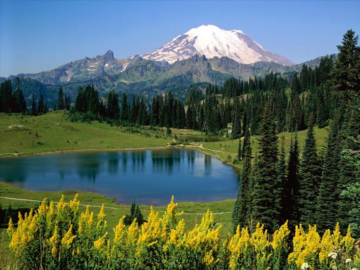 Widoki,obrazy - Alpine Scenic, Washington - 1600x1200 - ID 31896.jpg