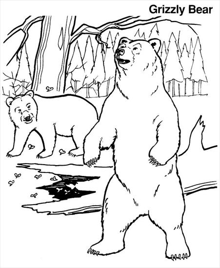 Zwiezenta - 6a405e891e0880d13bb4c6ddf5016ebf--mandala-coloring-pages-grizzly-bears.jpg