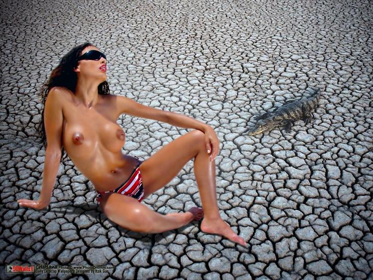 Erotic Wallpapers - Nude Wallpapers087.JPG