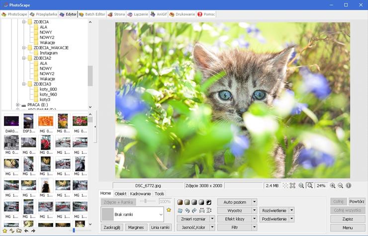 Photoscape - screenh.jpg