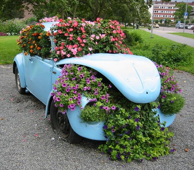 Krajobrazy - samochod i kwiaty.jpg