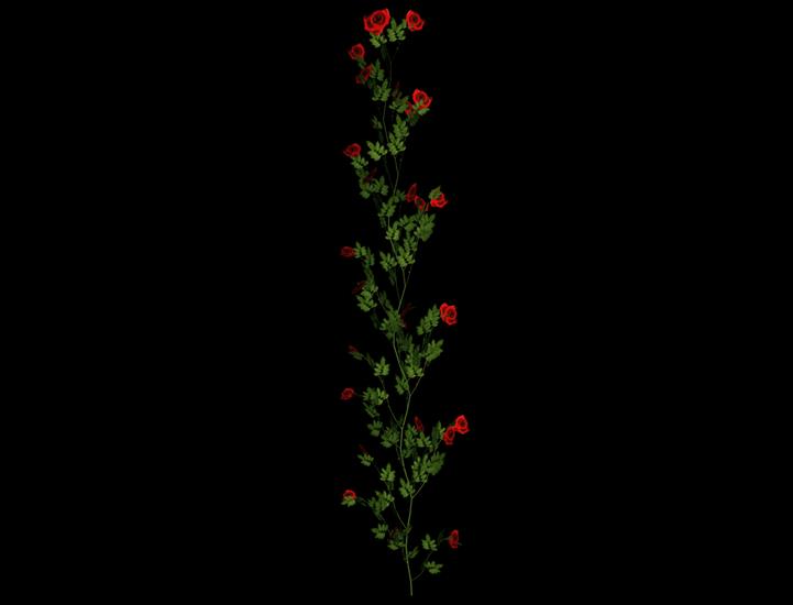 KWIATY i różne narożniki z kwiatów - róże1a.png