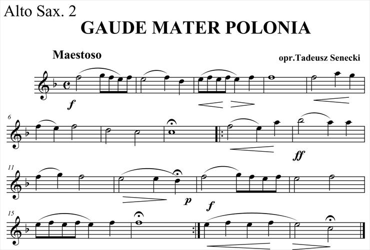 Gaude mater polonia glosy - Finale 2006 - sax alt 2.jpg