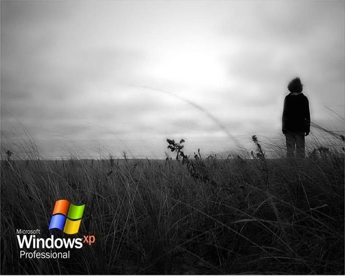 Tapety - Windows XP 3.bmp