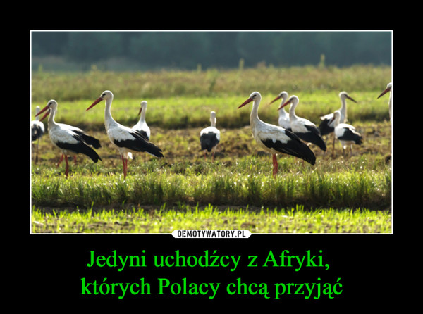 DEMOTYWATORY - 1523008900_tznya0_600.jpg