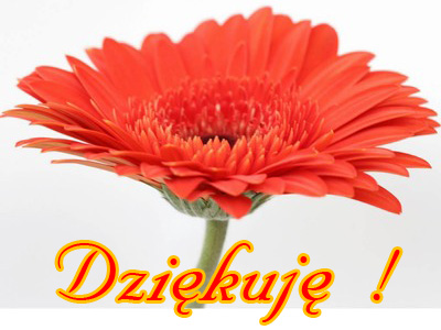 Dziękuję_ Dla Ciebie - 254.jpg