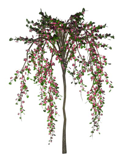 Rośliny1 - Flowering_Tree_Stock_1_by_Shoofly_Stock.jpg