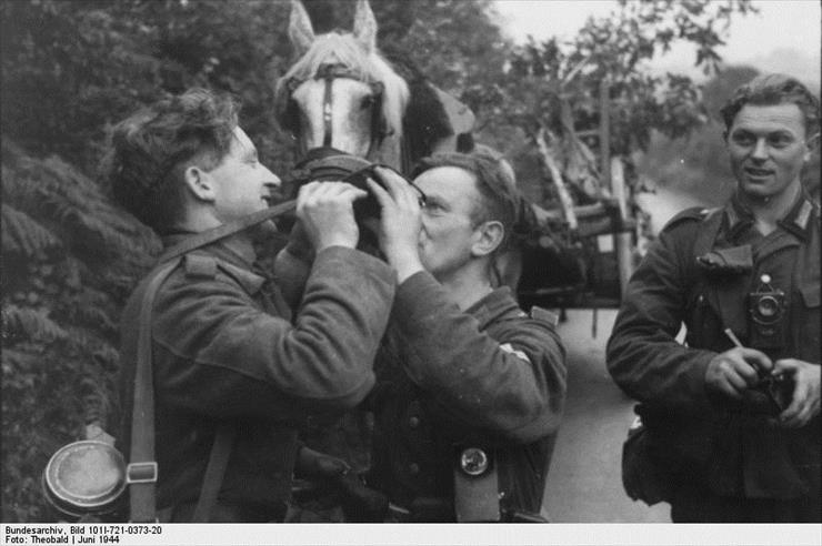 Zdjęcia  StaRE  POLECAM - Bundesarchiv_Bild_101I-721-0373-20,_Frankreich,_Soldaten_mit_Pferd.jpg