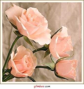Kocham róże - mediumk4feh15548864b056090a93495.jpg